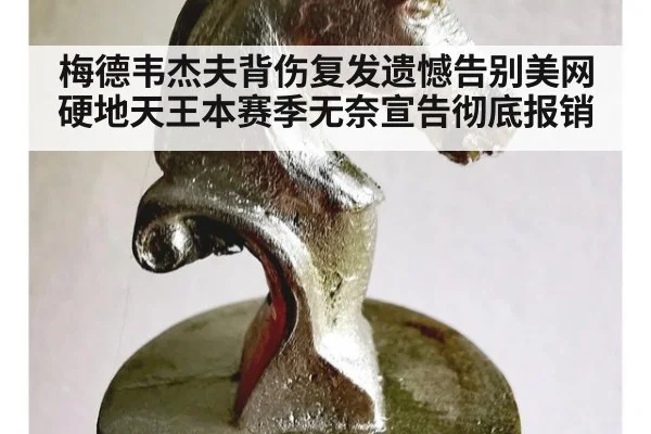 梅德韦杰夫背伤复发遗憾告别美网 硬地天王本赛季无奈宣告彻底报销