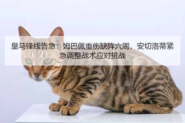 皇马锋线告急：姆巴佩重伤缺阵六周，安切洛蒂紧急调整战术应对挑战