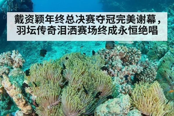 戴资颖年终总决赛夺冠完美谢幕,羽坛传奇泪洒赛场终成永恒绝唱